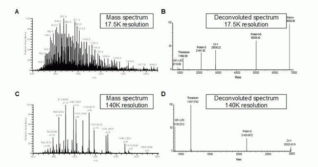 Representative ESI-MS spectra of Pierce Intact Protein Standard Mix